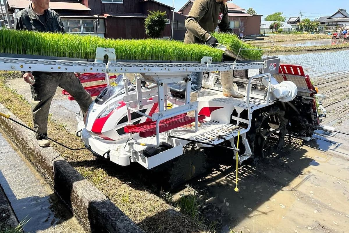 苗づくり・田植え